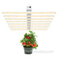 Лучшие дешевые светильники для домашних растений